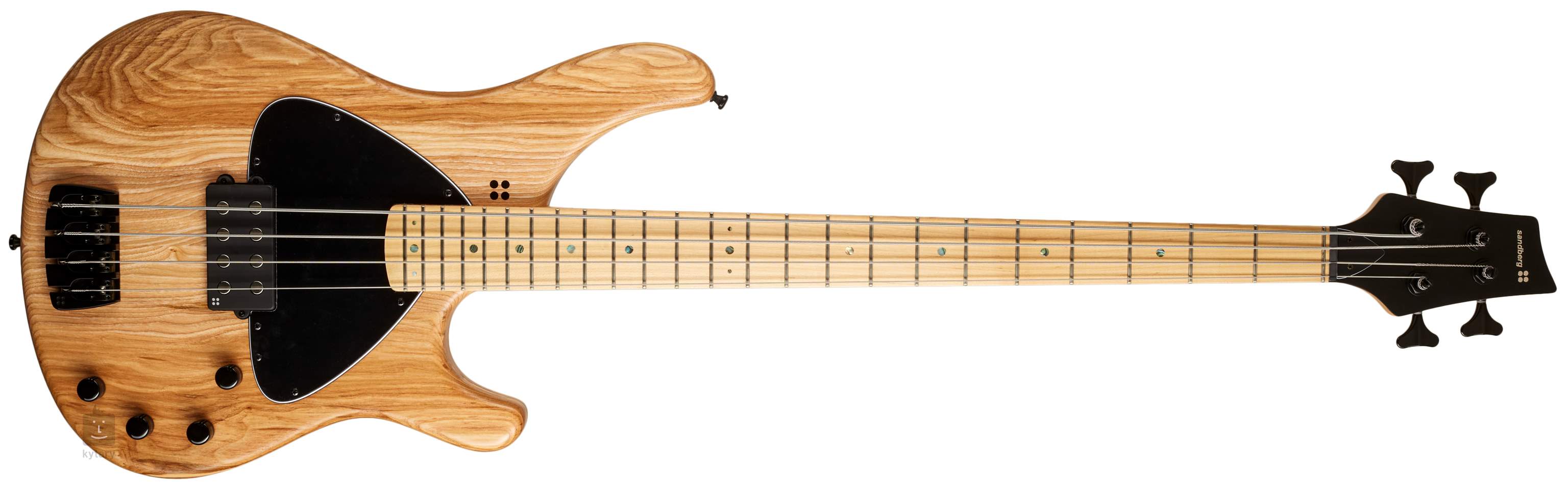 sandberg bass basic