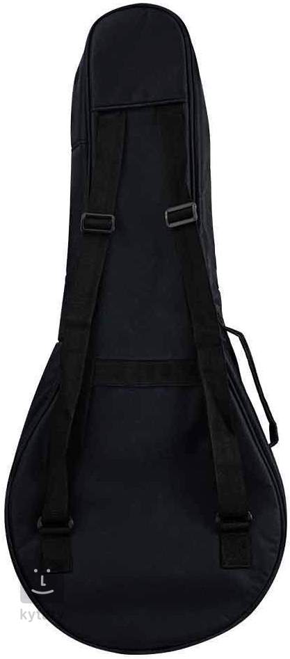 Deering on sale gig bag