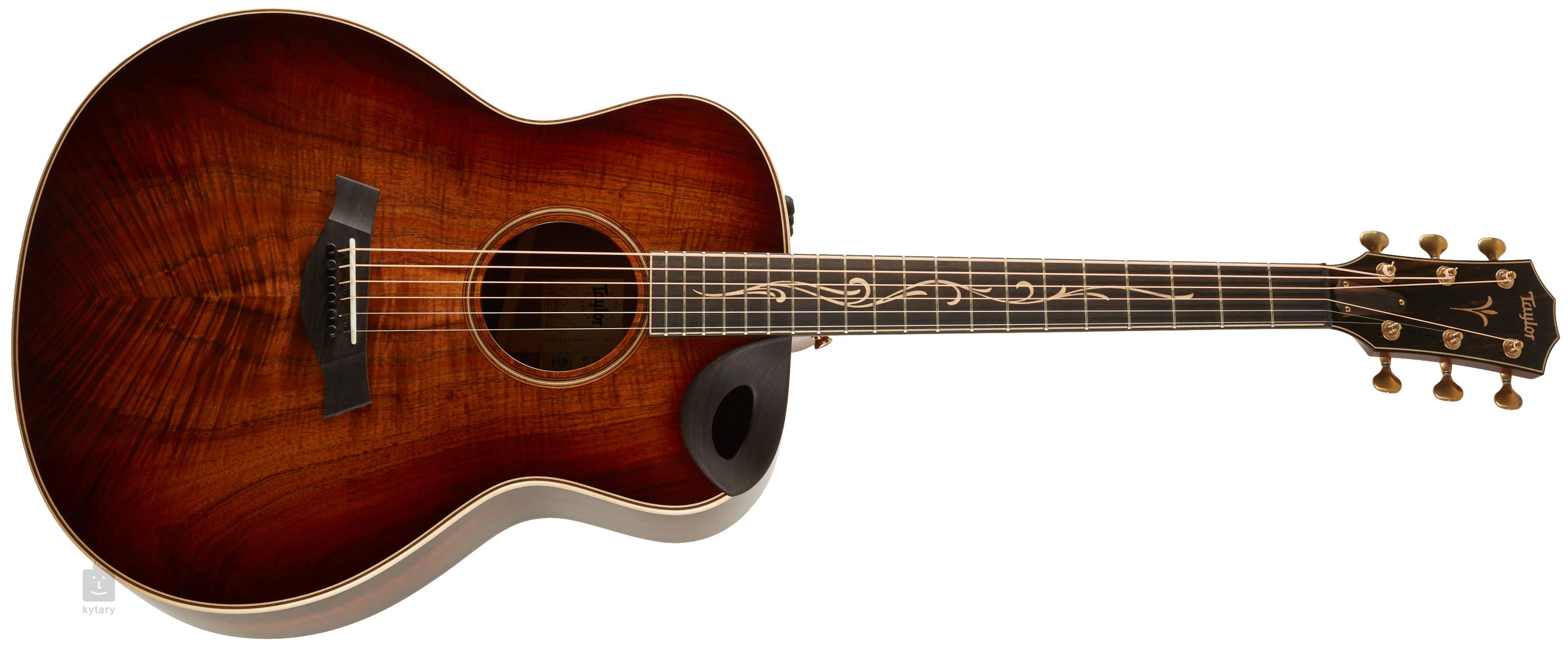 taylor soundport cutaway