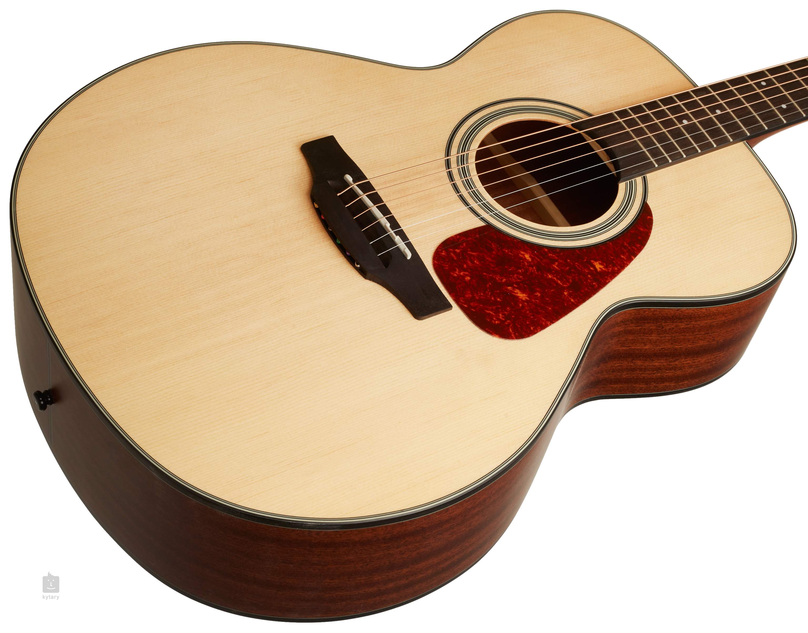 takamine g series gn10 ns