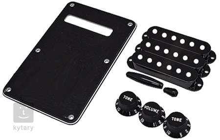 fender stratocaster accessory kit black