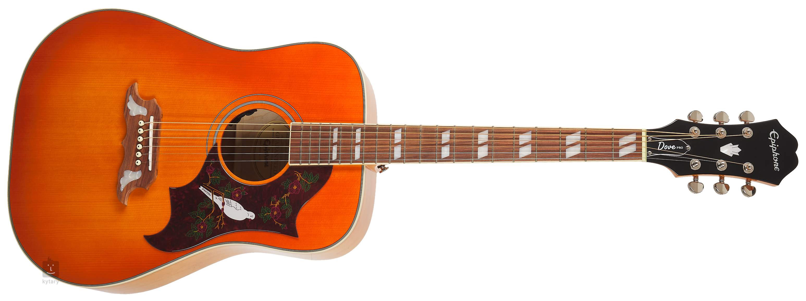 epiphone acoustic guitar dove