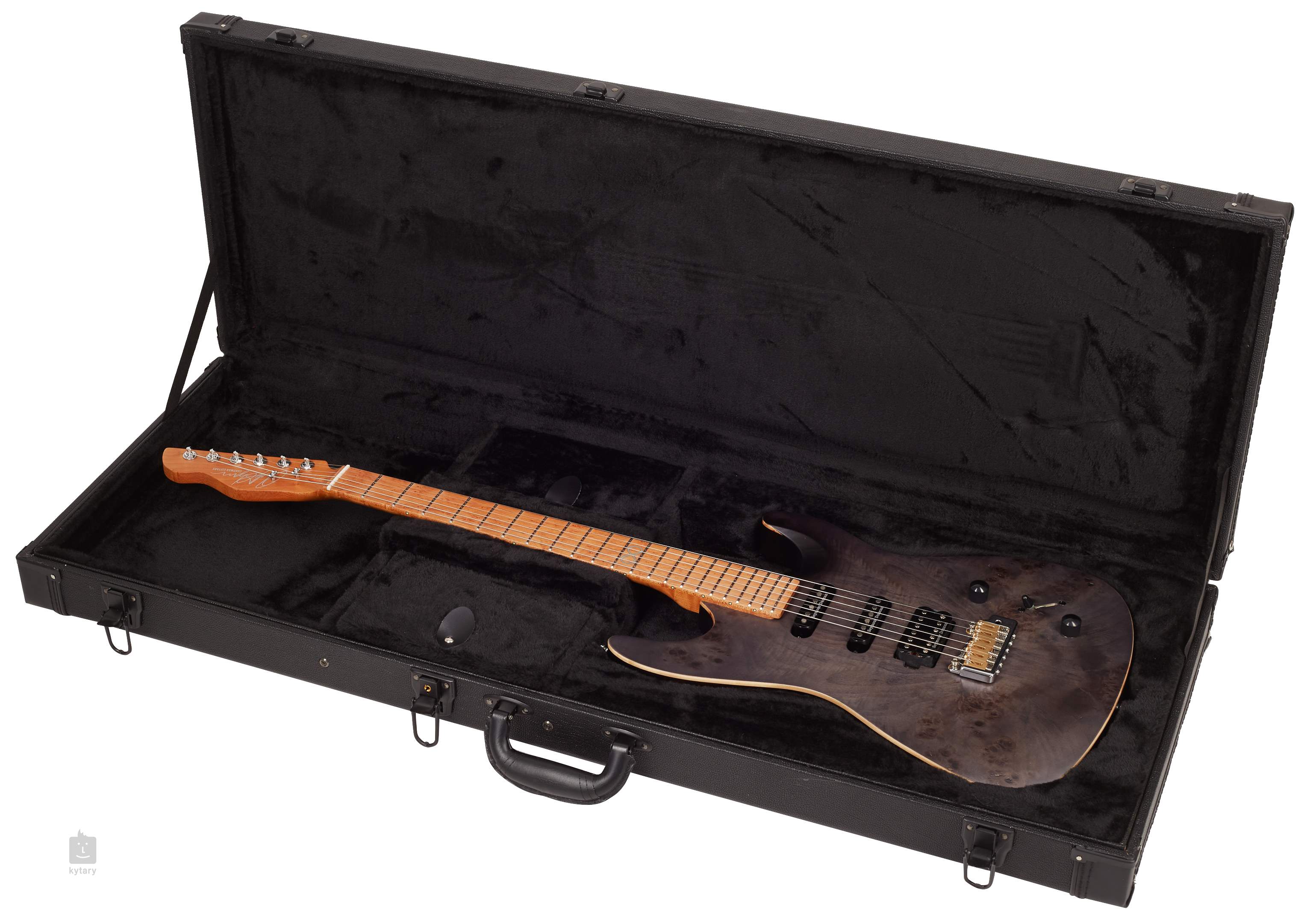 chapman guitar case