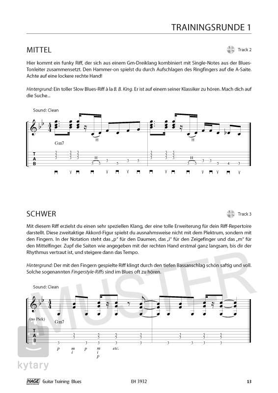 Ms Guitar Training Blues Guitar Lesson Book