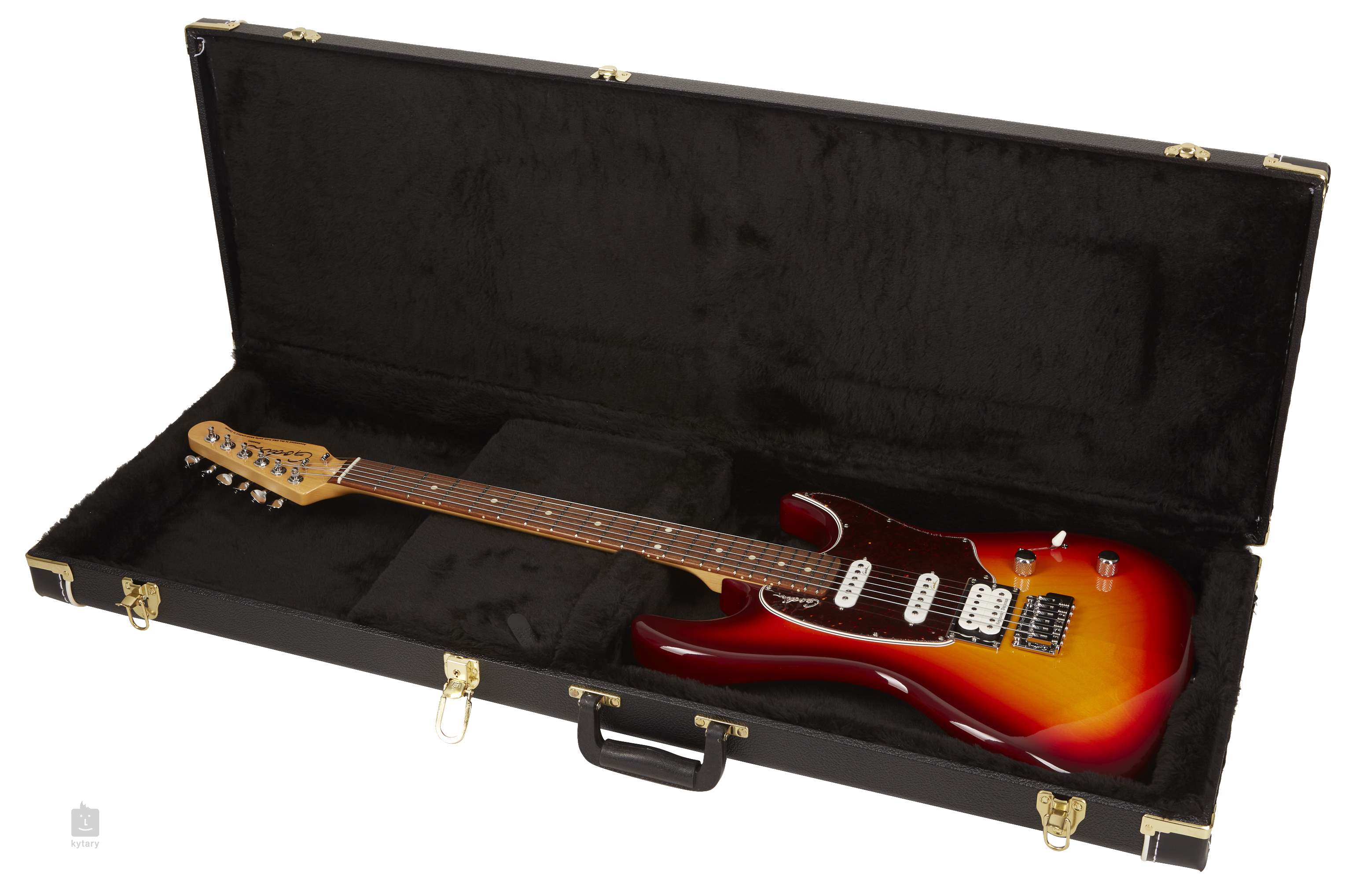 Godin shop hard case