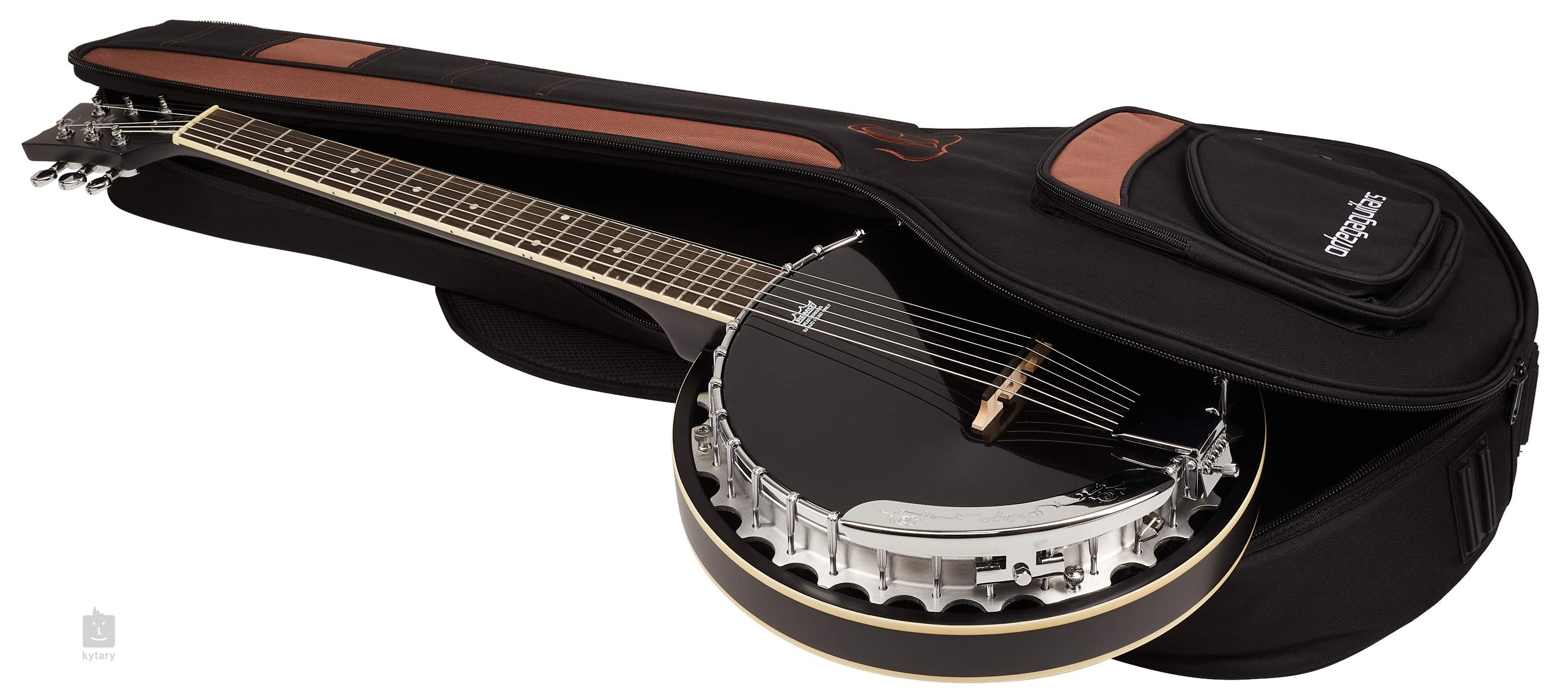 Epiphone stagebird store banjo