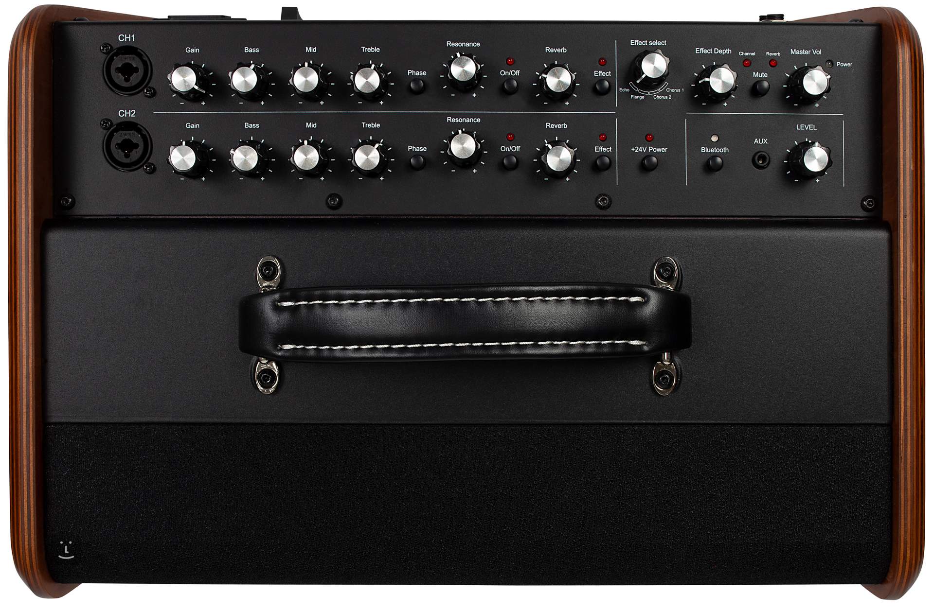 acoustic solutions guitar amp