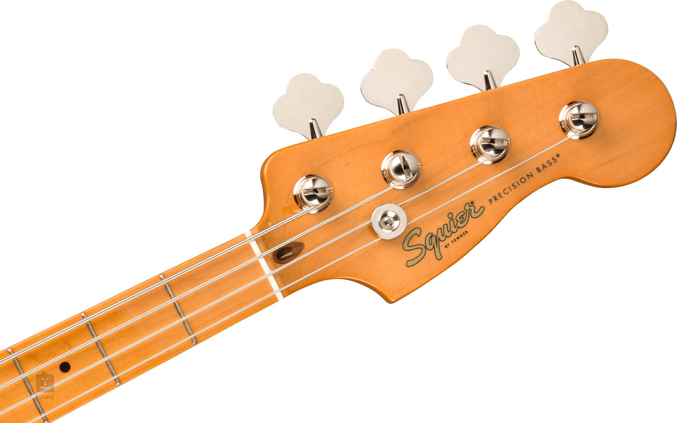 Squier shop bass used