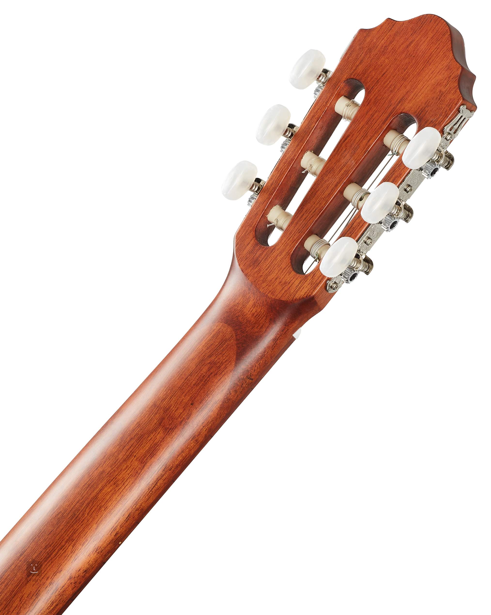 cort nylon guitar