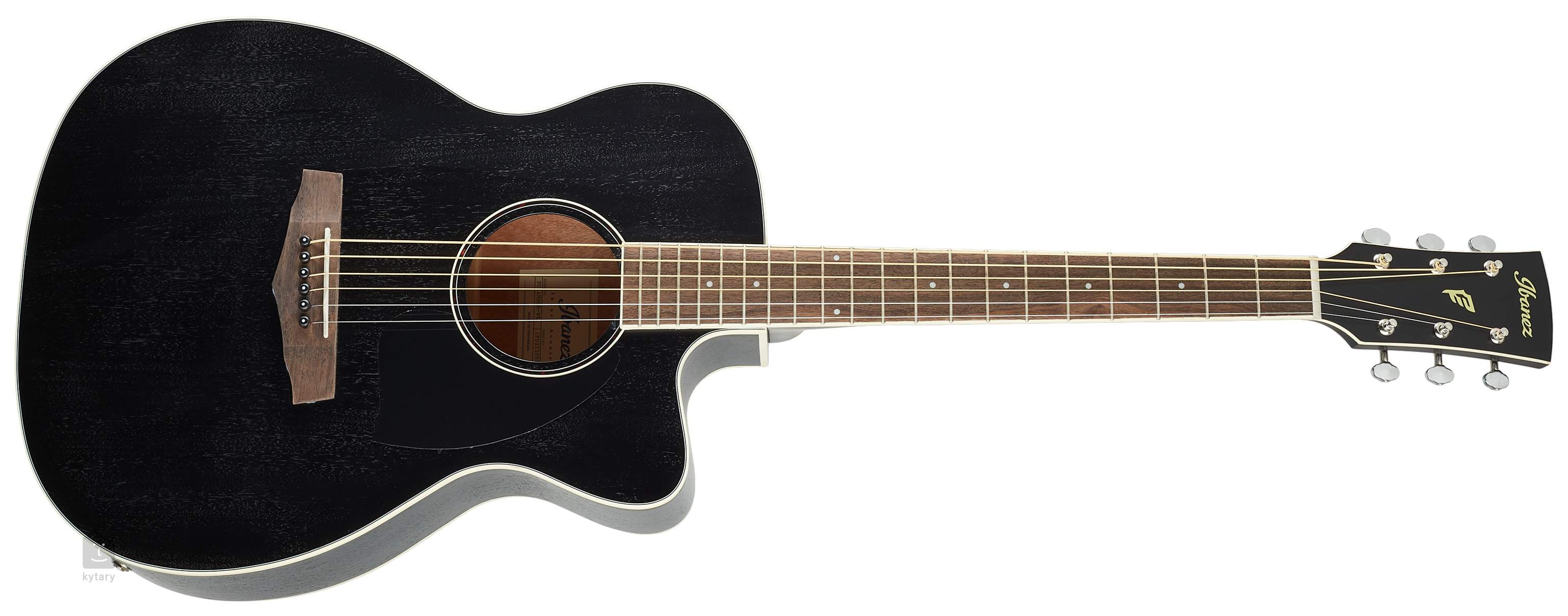 electro acoustic ibanez