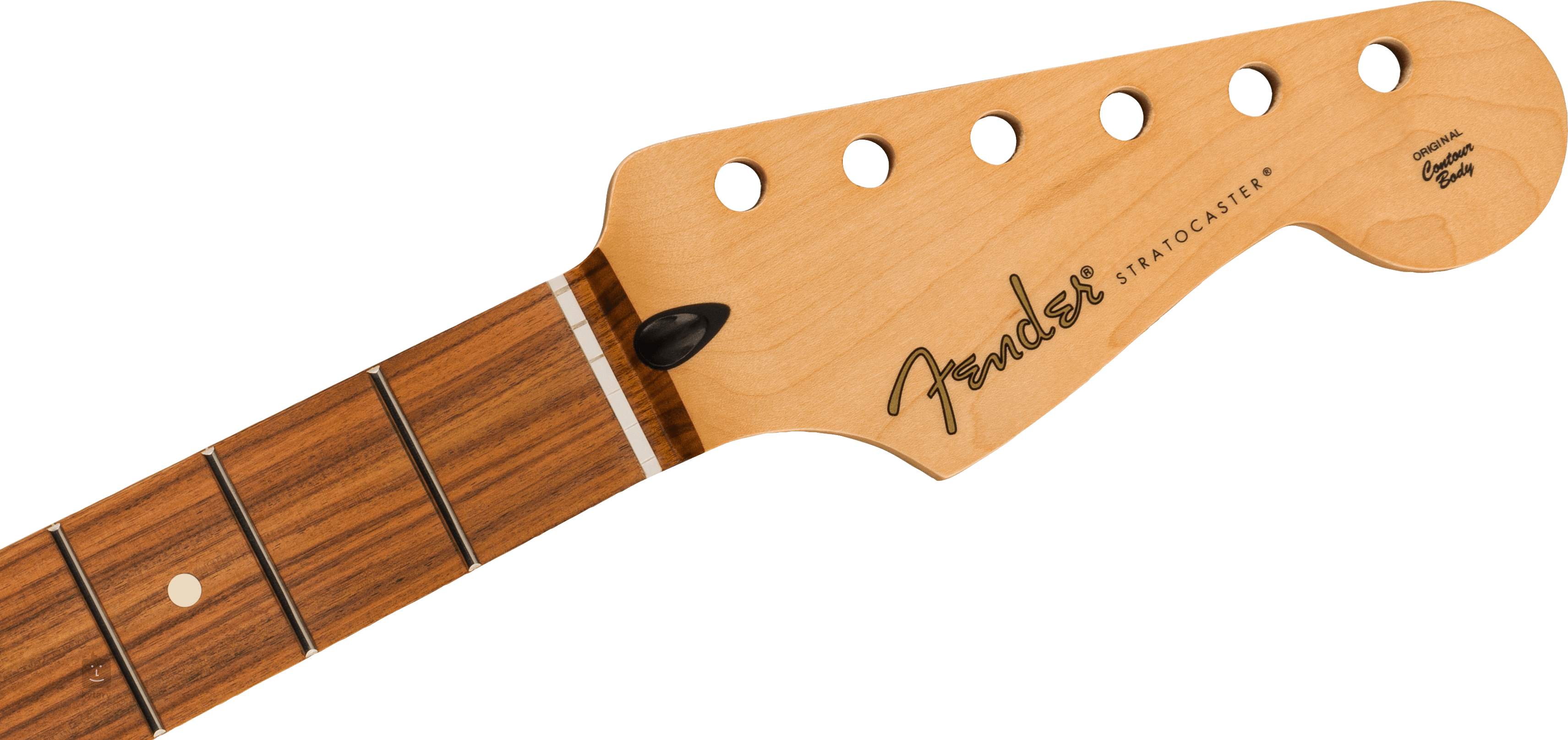 stratocaster pau ferro