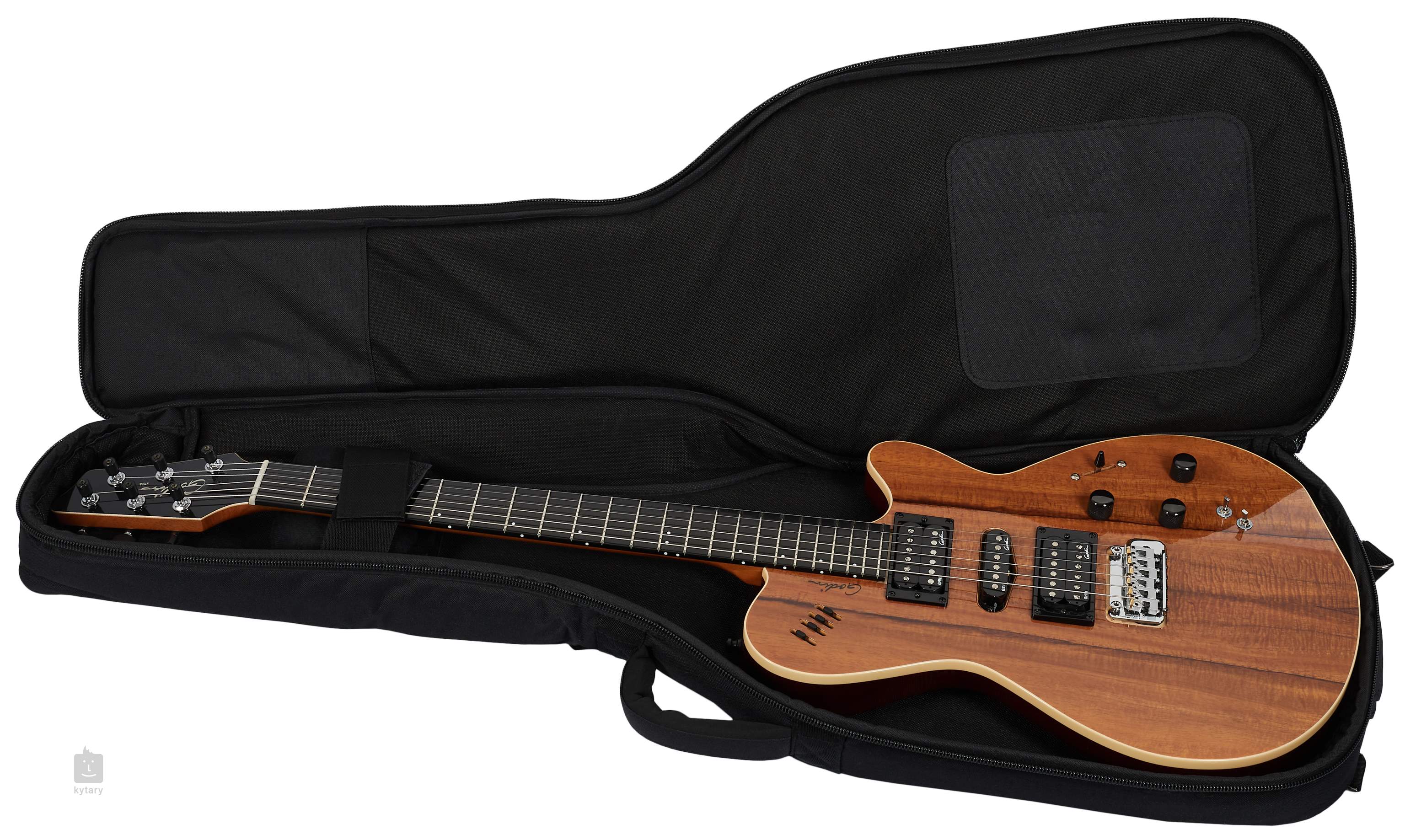 Godin on sale xtsa rosewood