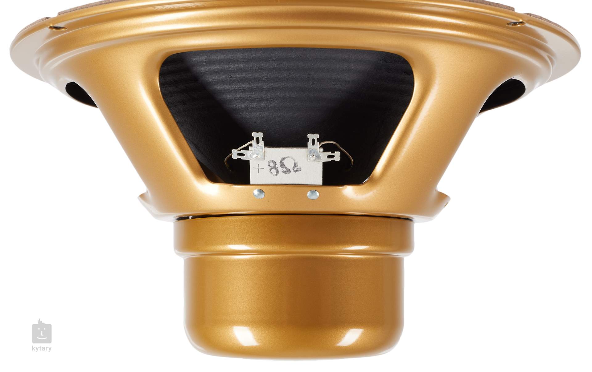 Alnico store gold speaker