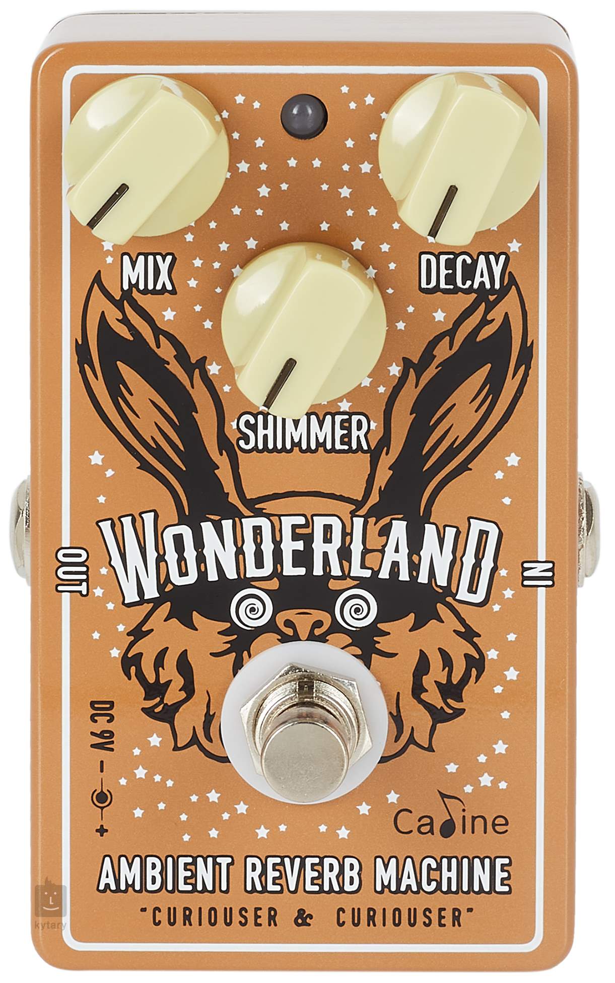 caline wonderland ambient reverb machine