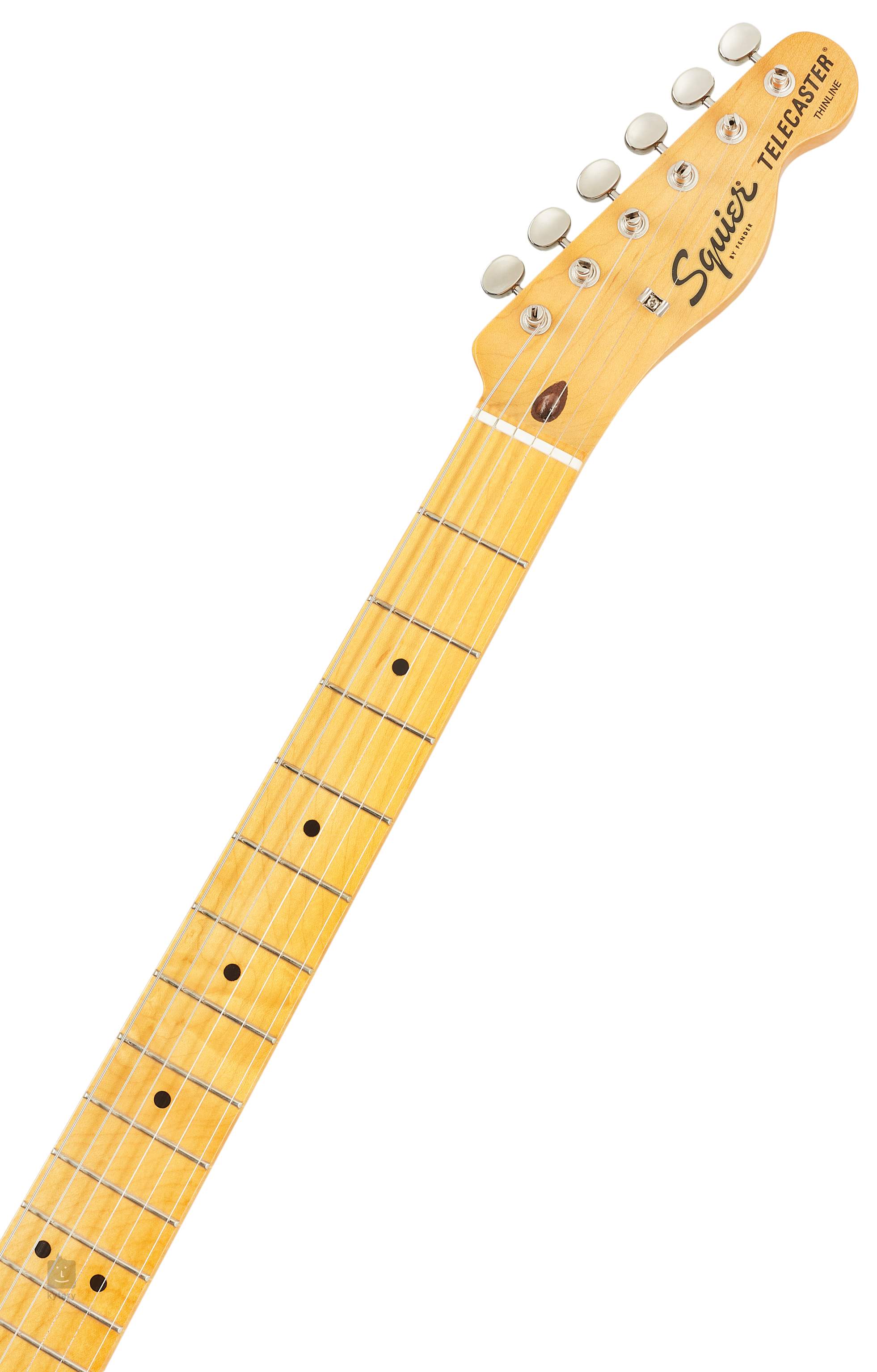 squier thinline body