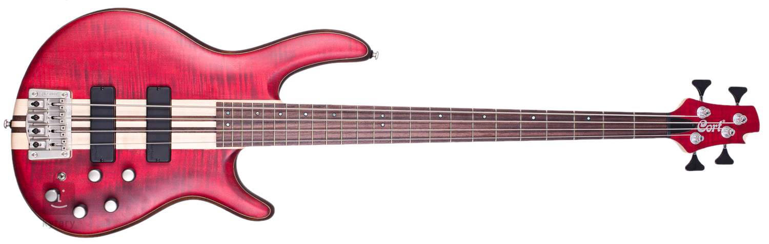 Cort a4 deals artisan bass