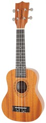 Tanglewood TWT 1