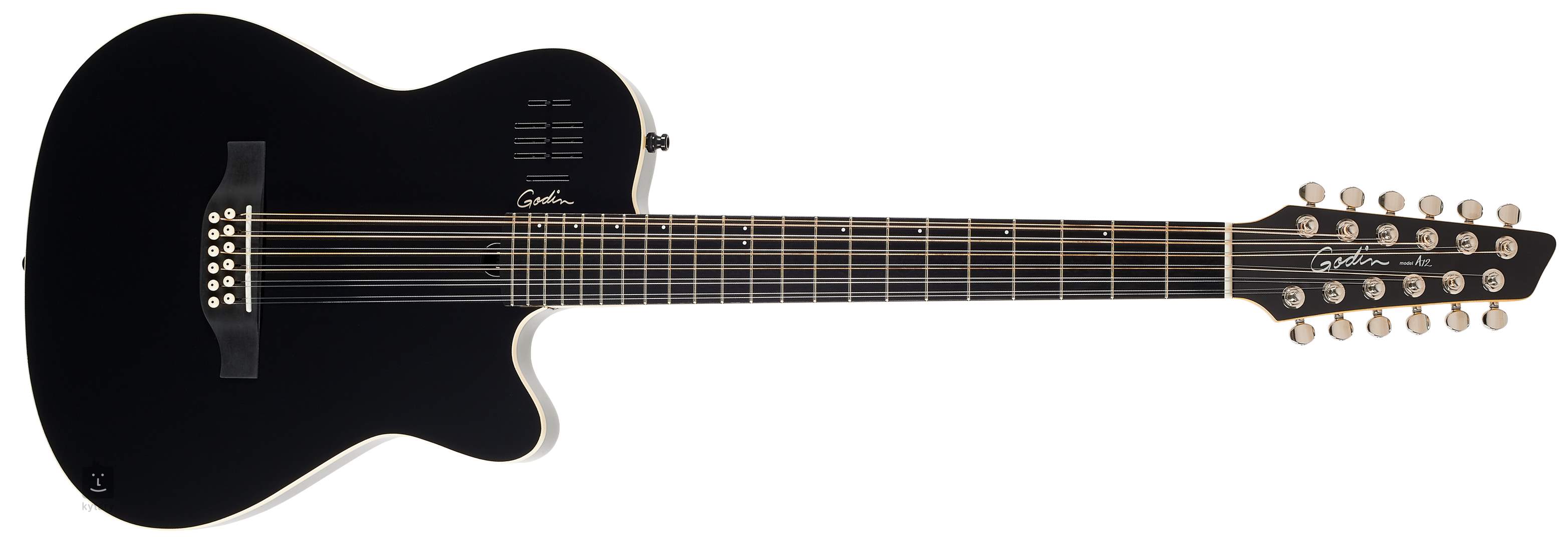 Godin a10 2025 black steel hg