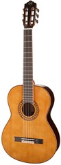 Tanglewood EM D3