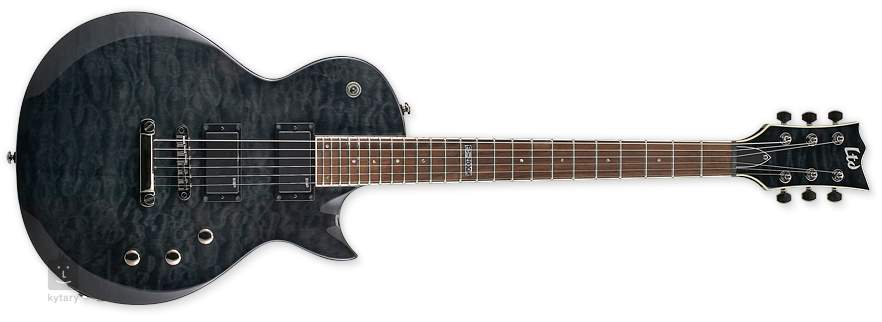 esp ltd ec 200