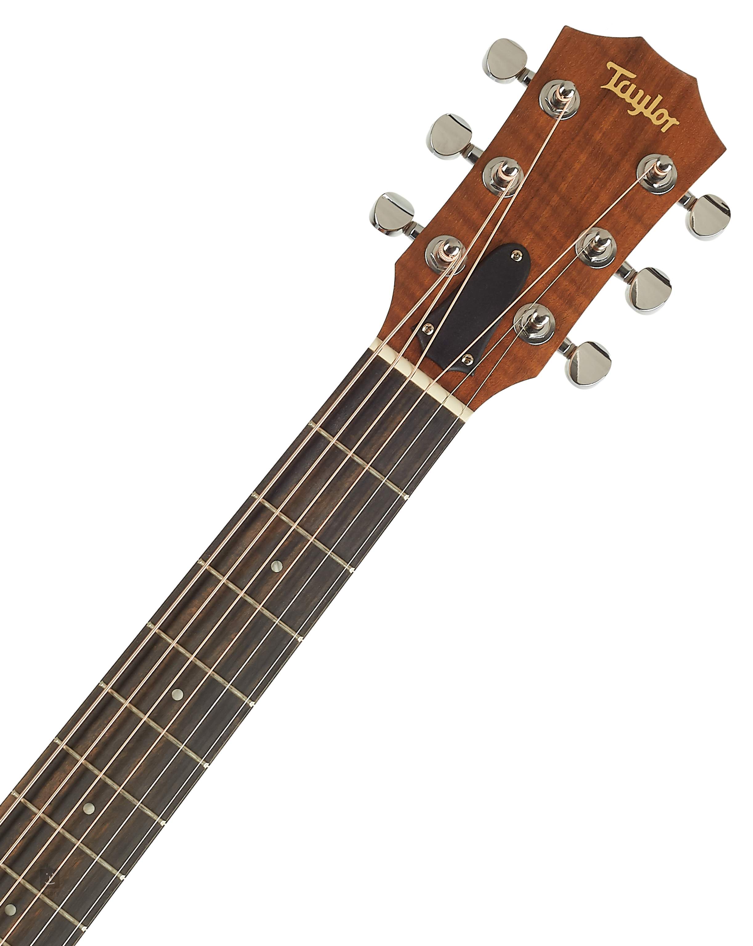 gewelddadig kin ziek TAYLOR GS Mini Mahogany Akoestische gitaar