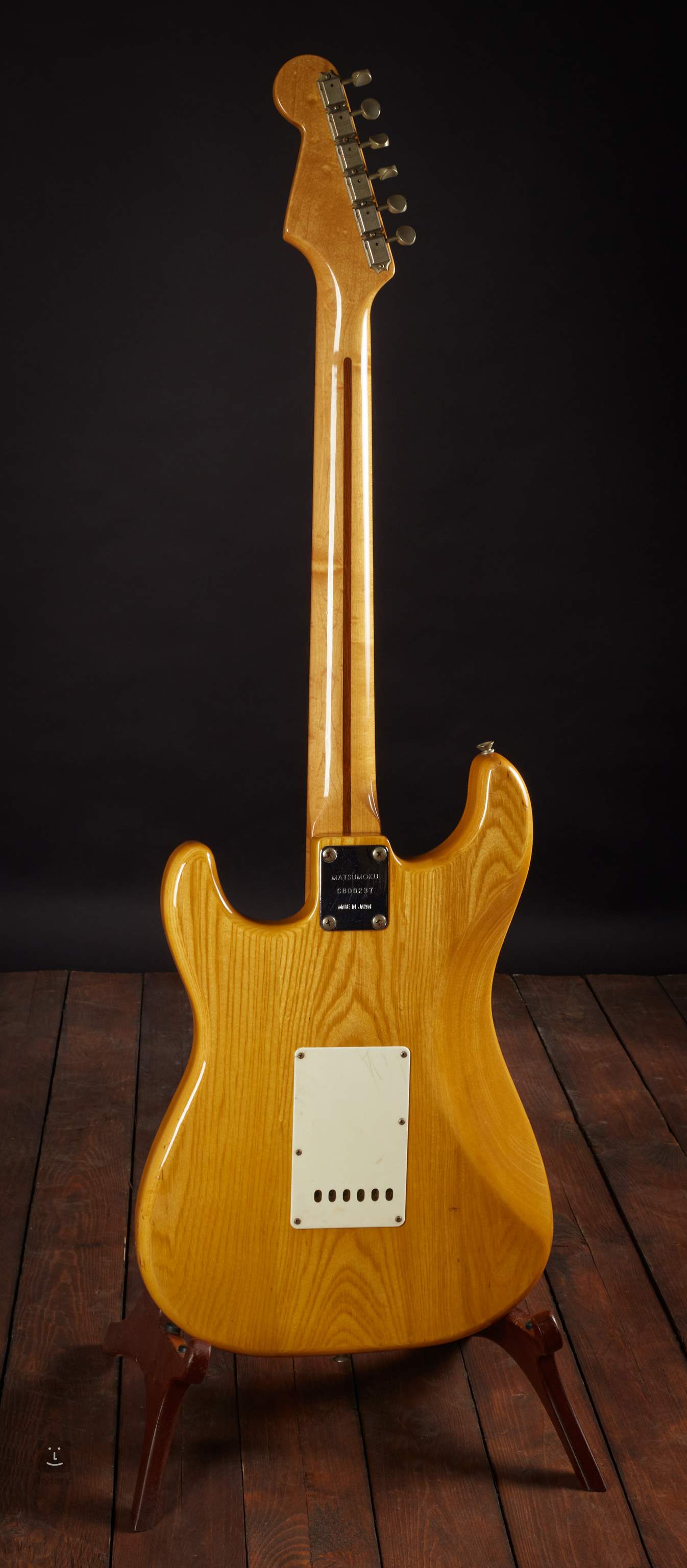 Waarneembaar Onophoudelijk zeemijl ARIA PRO 2 Strikin´ Sound Natural Elektrische gitaar