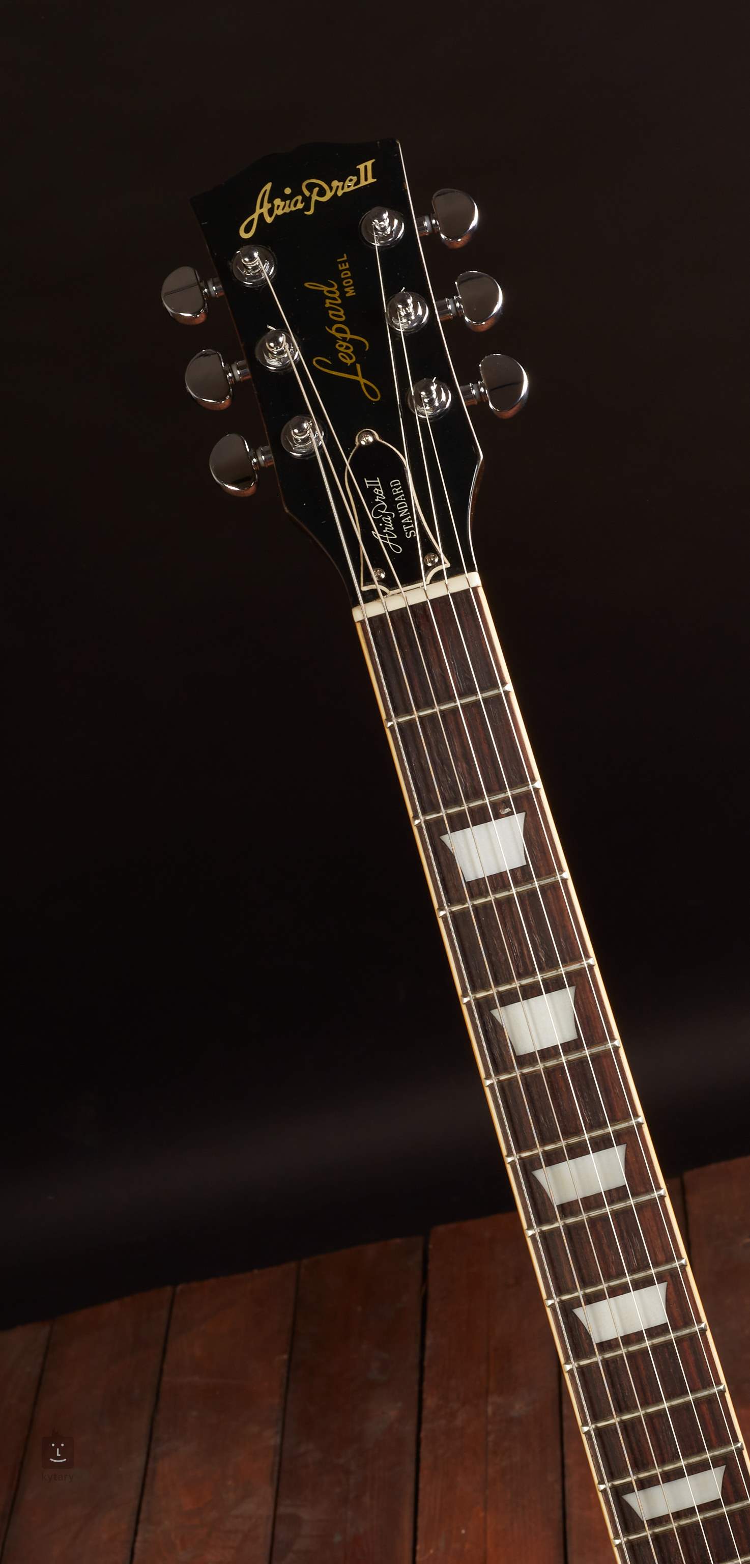 Ochtend Schuine streep tiener ARIA PRO 2 Leopard LP Elektrische gitaar