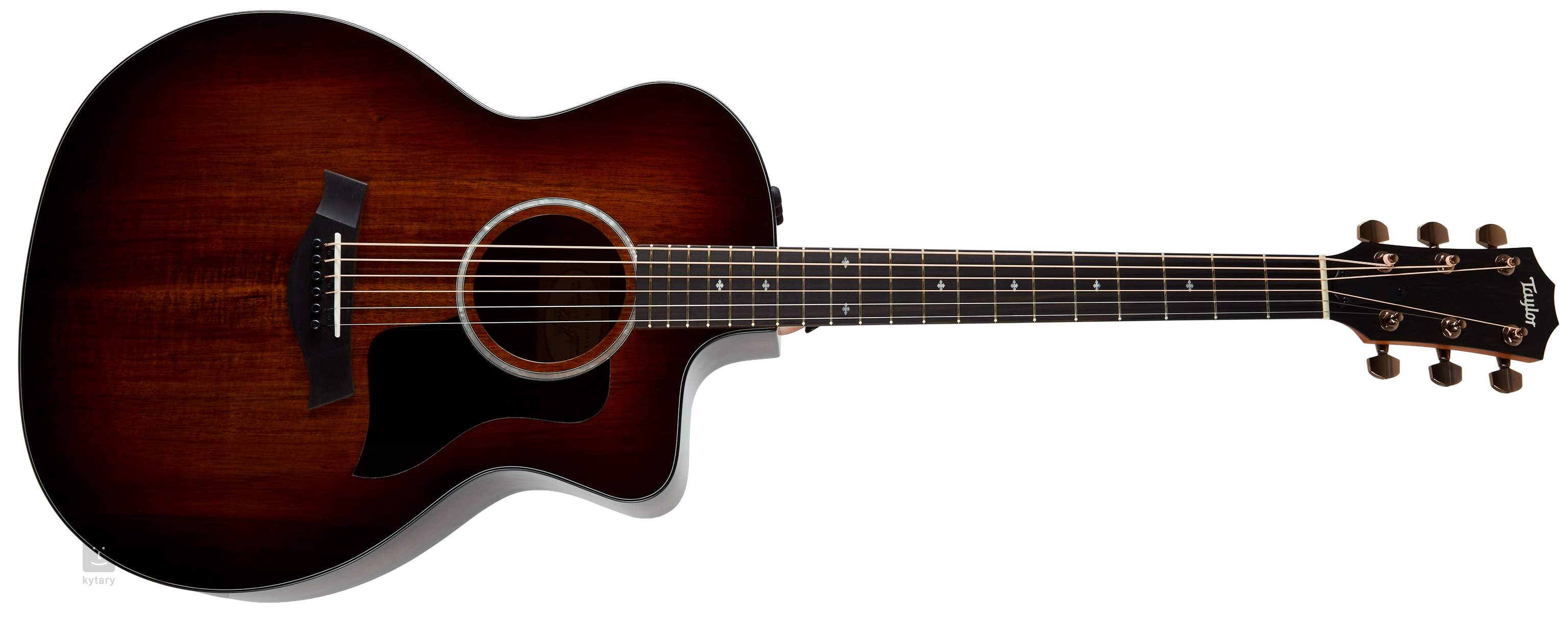 TAYLOR 224ce-K DLX Elektro-akoestische gitaar