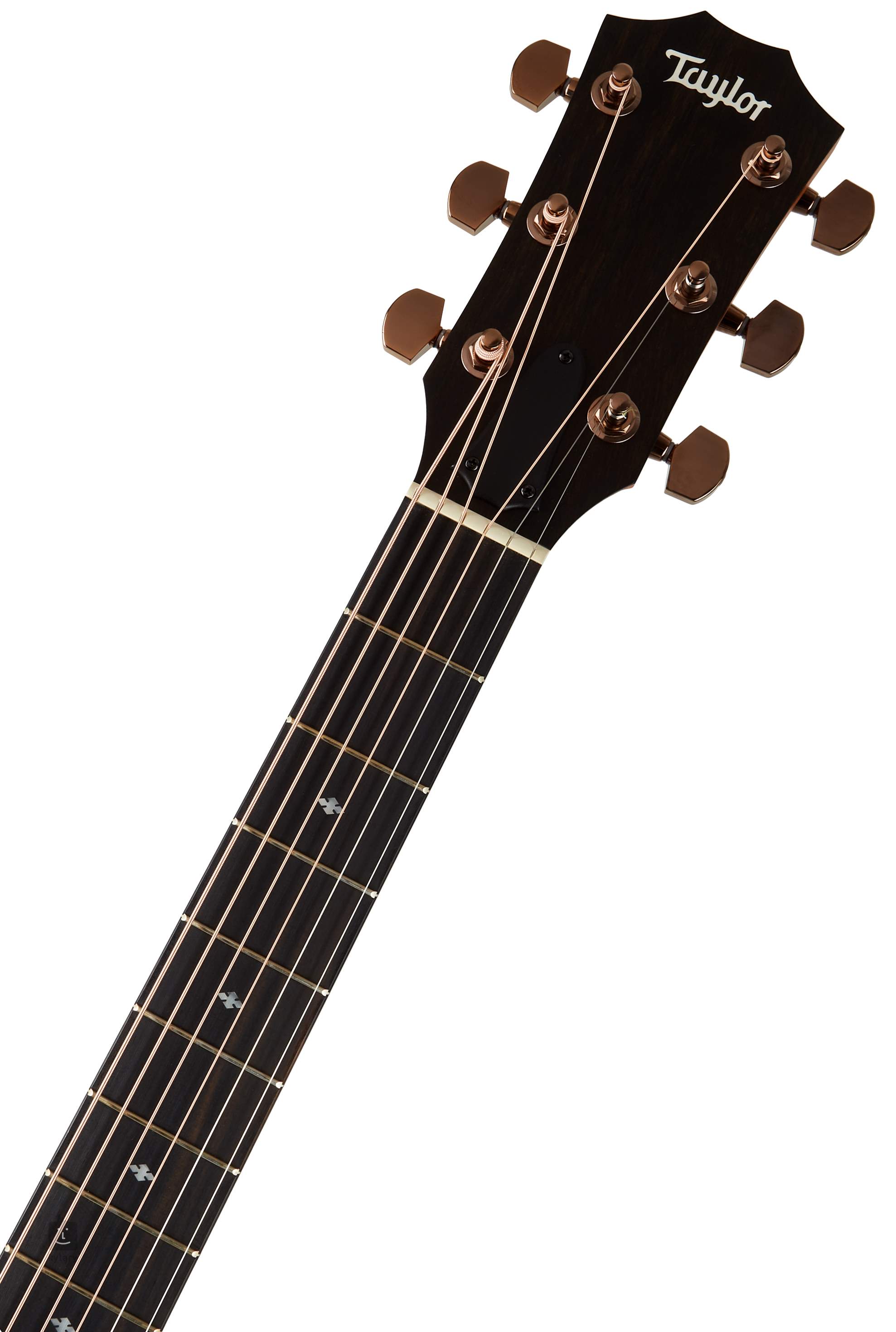 TAYLOR 224ce-K DLX Elektro-akoestische gitaar