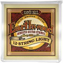 ERNIE BALL 2010 Earthwood 80/20 Bronze 12-String Light