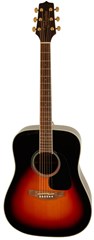 Takamine GD51-BSB