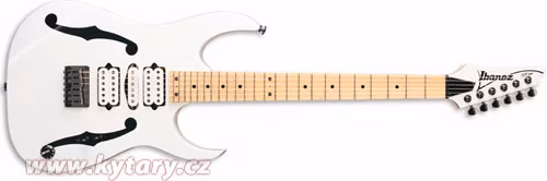 Ibanez Paul Gilbert Model PGM 301 - Gitara elektryczna