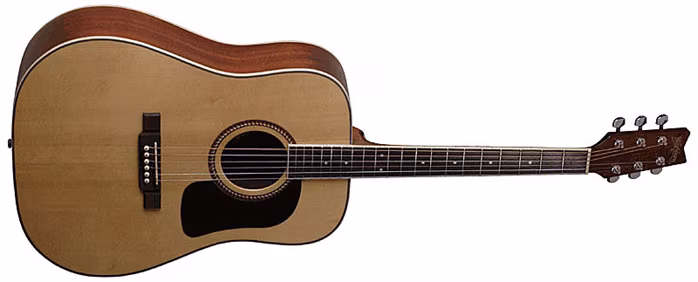 Washburn D10SNS - Gitara akustyczna