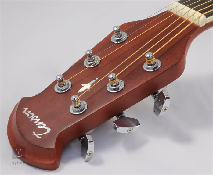 Tenson Roundback Deep - Gitara elektroakustyczna