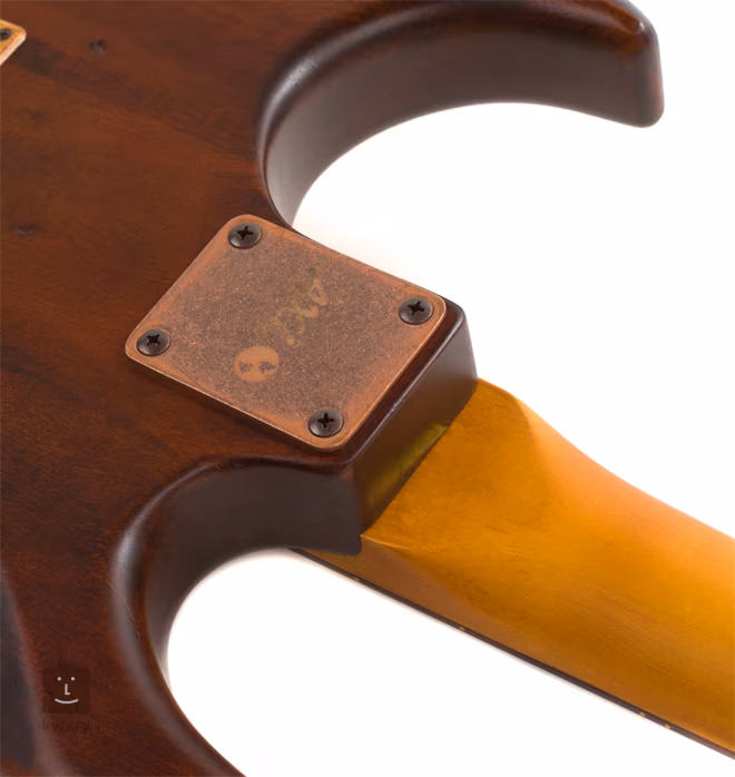 AXL Badwater - Gitara elektryczna