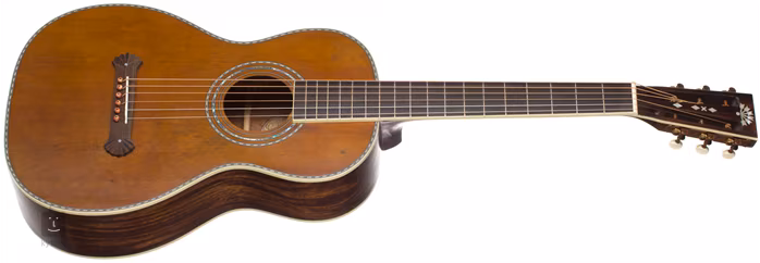 Washburn R319SWKK - Gitara akustyczna