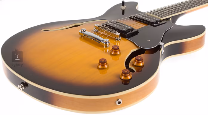 Washburn HB30 TS - Gitara półakustyczna