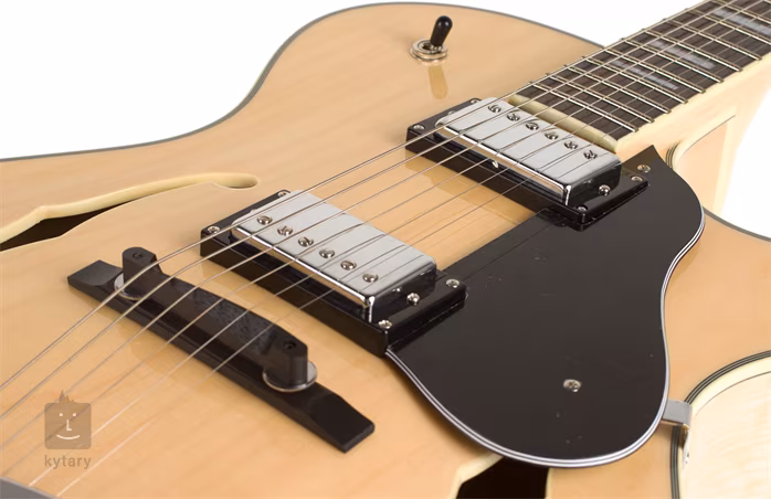 Washburn J3 N - Gitara półakustyczna