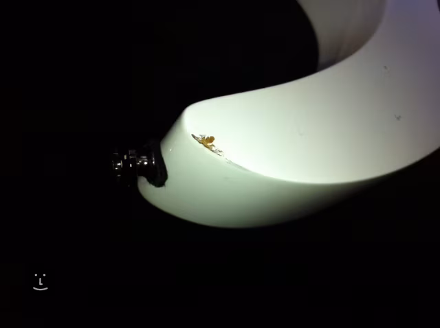 Ibanez JEM 555 WH (poškozeno) - Gitara elektryczna