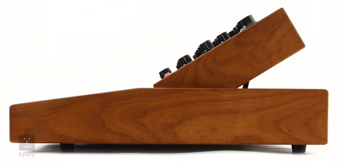 Moog Minimoog Voyager Performer Edition - Syntezator analogowy