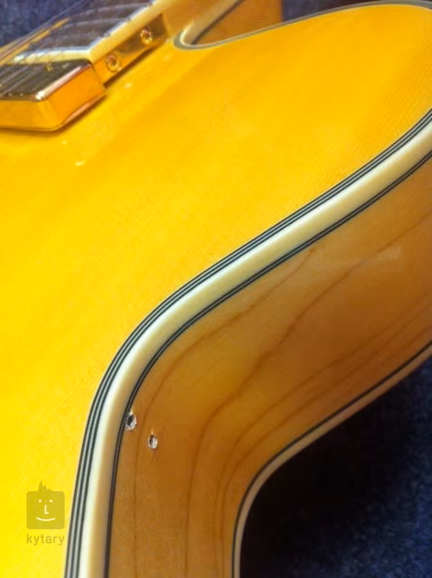 Epiphone Emperor Regent NA (nekompletní) - Gitara elektryczna