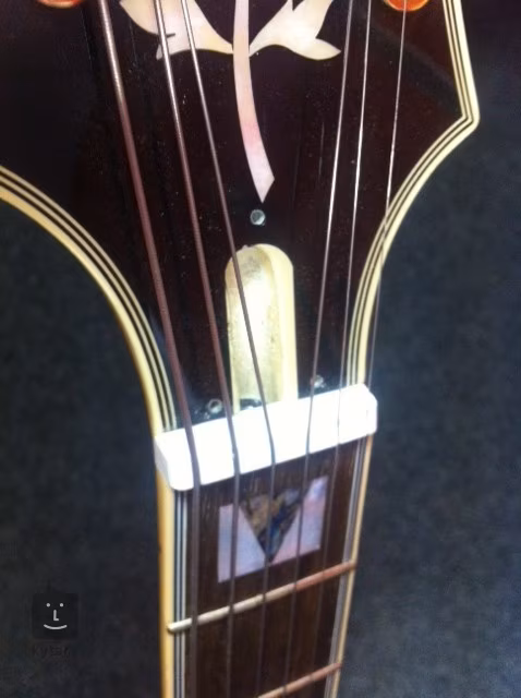 Epiphone Emperor Regent NA (nekompletní) - Gitara elektryczna