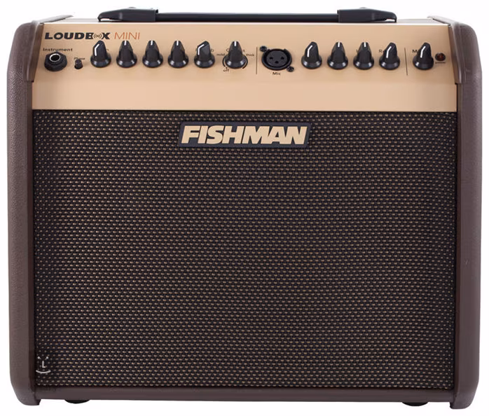Fishman Loudbox Mini (używane) - Combo do instrumentów akustycznych