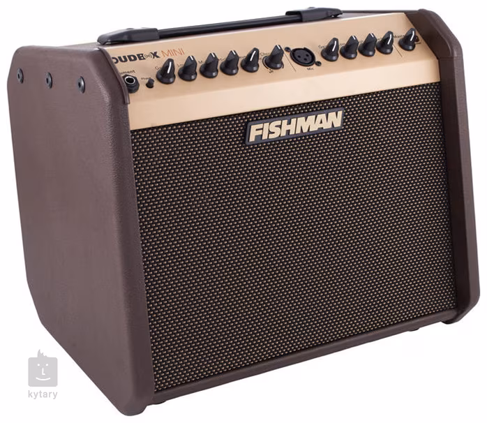 Fishman Loudbox Mini (używane) - Combo do instrumentów akustycznych