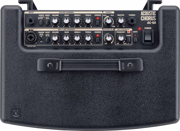 Roland AC-60 - Combo do instrumentów akustycznych