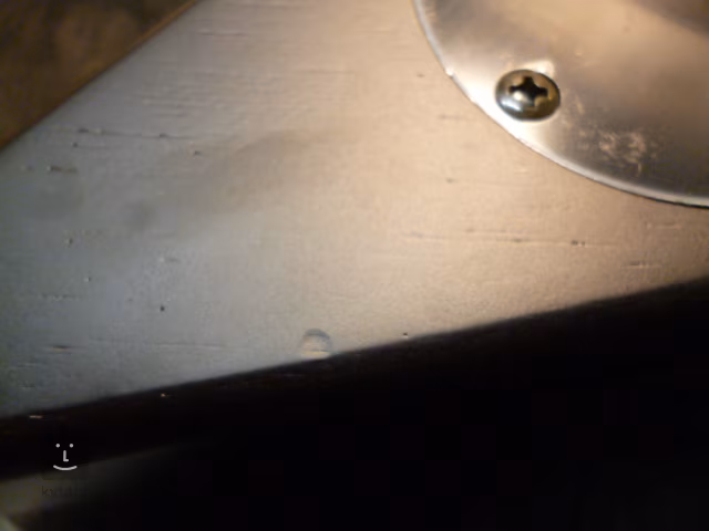 Chapman Guitars Ghost Fret Pro Lunar (uszkodzone) - Gitara elektryczna