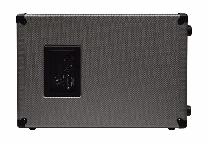 Darkglass 210NE - Kolumna do gitar basowych