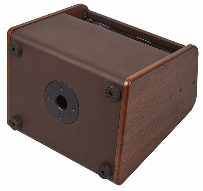 Laney A1 - Combo do instrumentów akustycznych