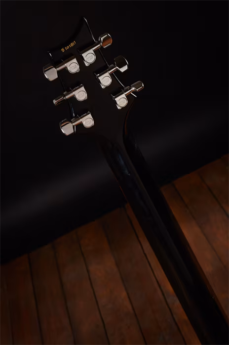 PRS Custom 22 20th Anniversary - Gitara elektryczna