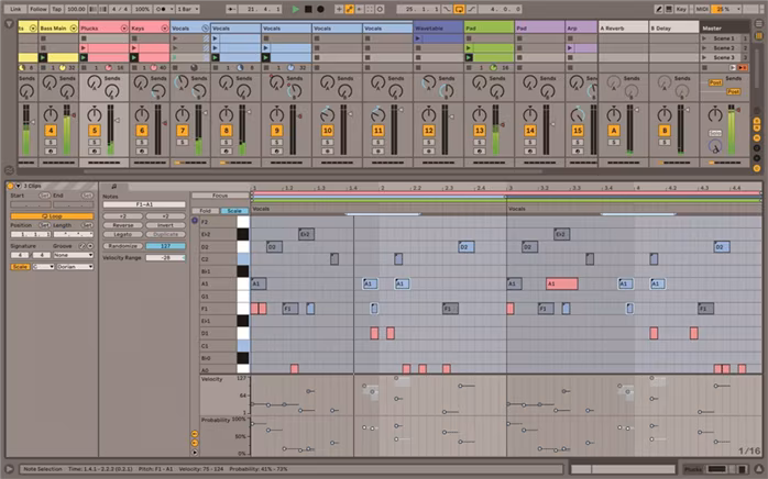 Ableton Live 11 Intro - Oprogramowanie